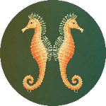 Seahorse